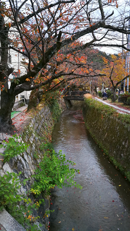 京都自助遊攻略