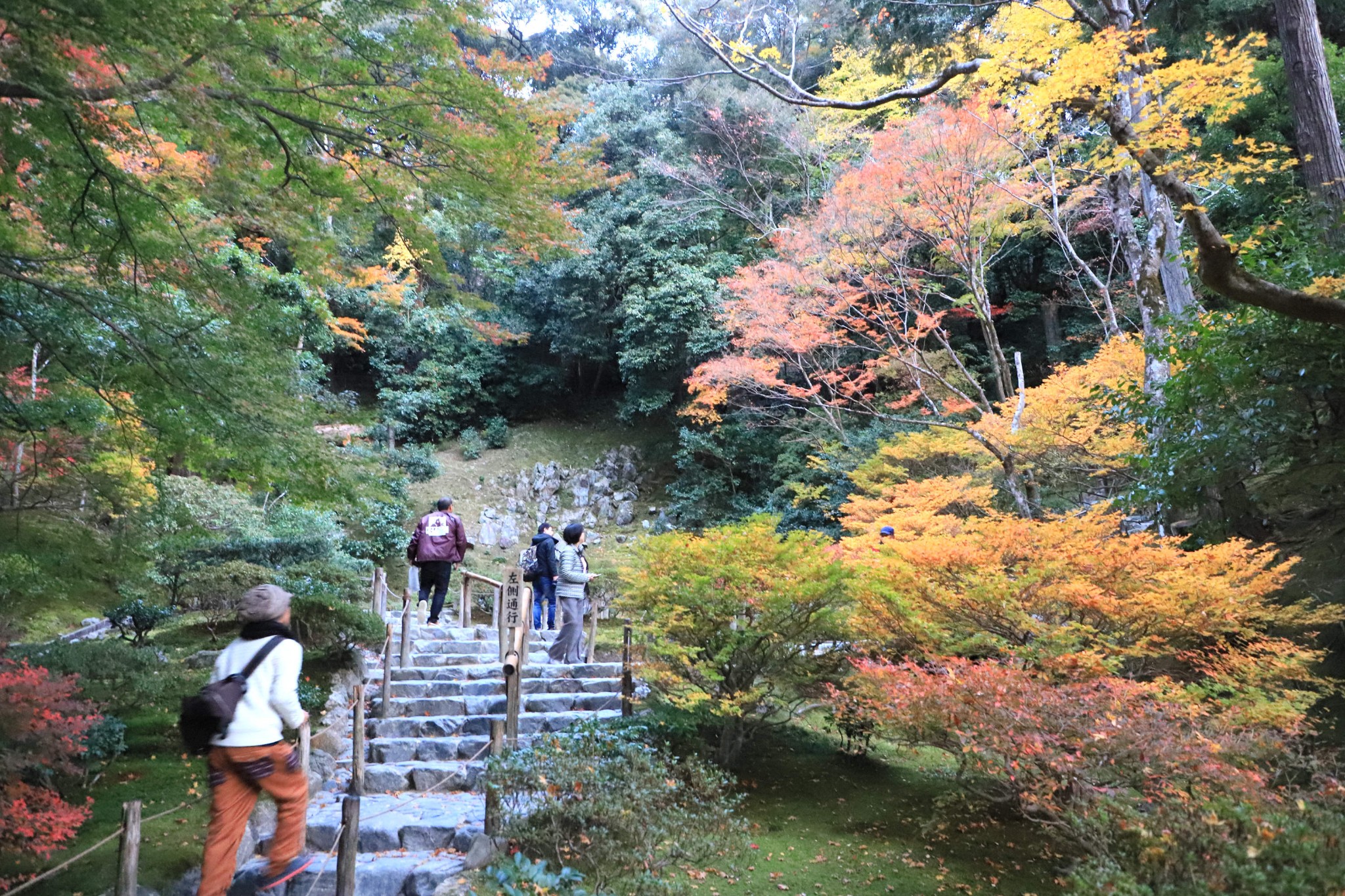 京都自助遊攻略