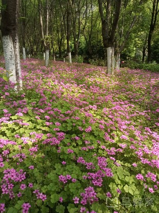 绍钢纪念公园60旅游图片,绍钢纪念公园60自助游图片,绍钢纪念公园