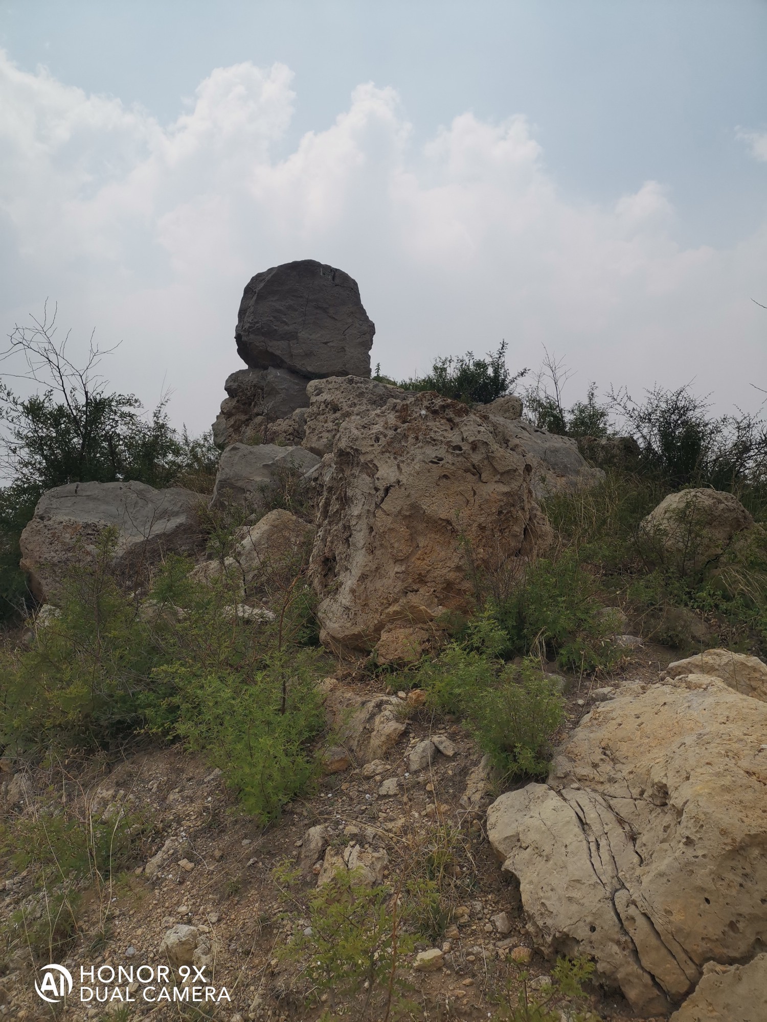 半途蒼龍山竇王廟