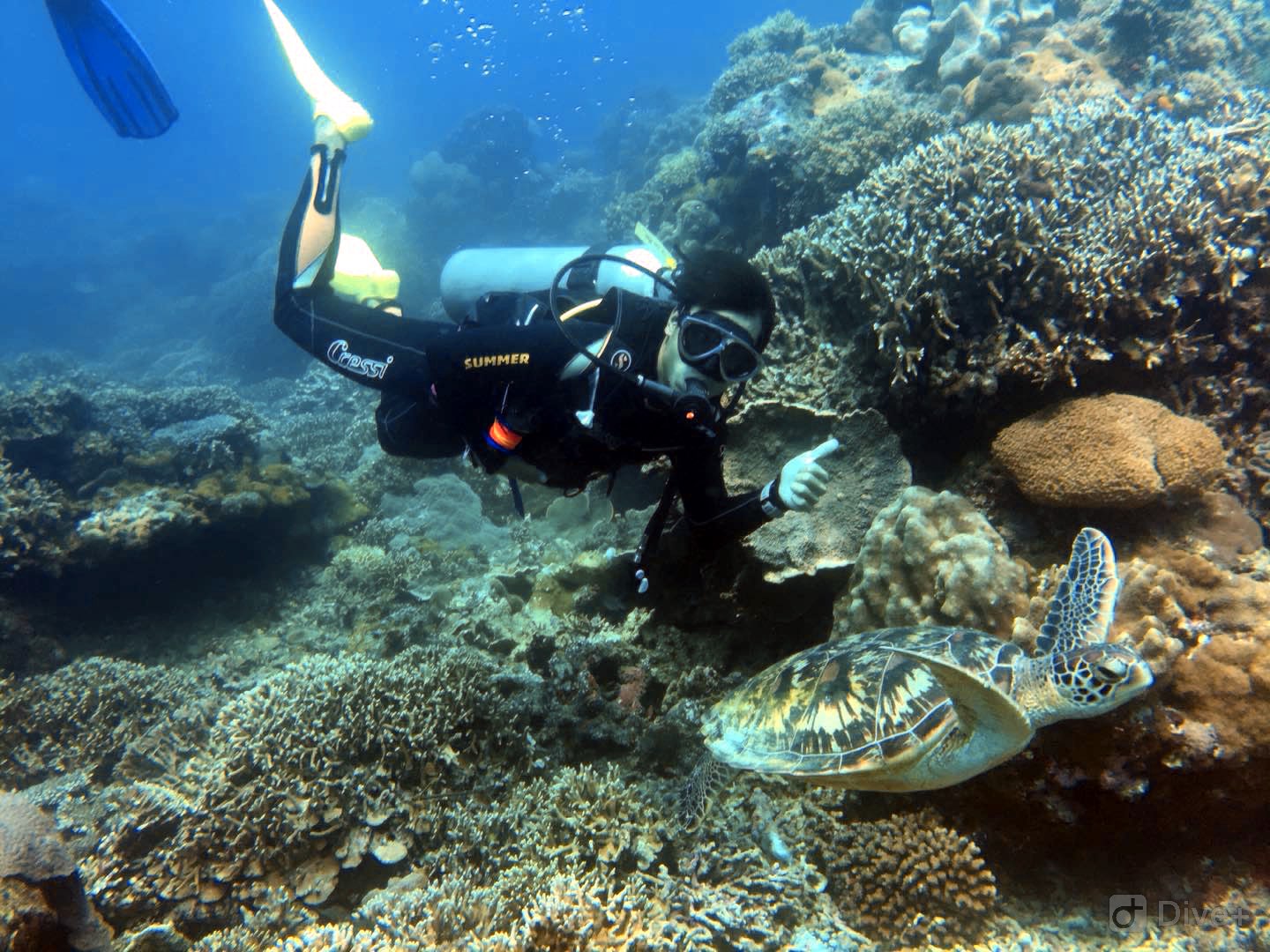 2019惠州双月湾吃住行丨重点小星山浮潜深潜攻略