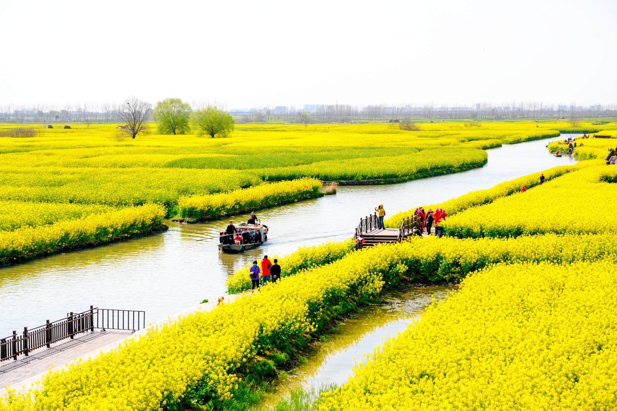 興化旅遊景點全攻略,解鎖這座