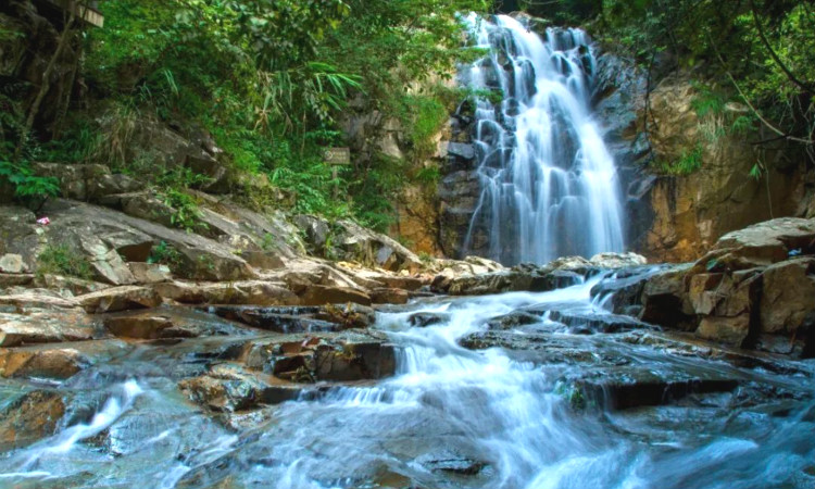 長泰十里藍山景區門票