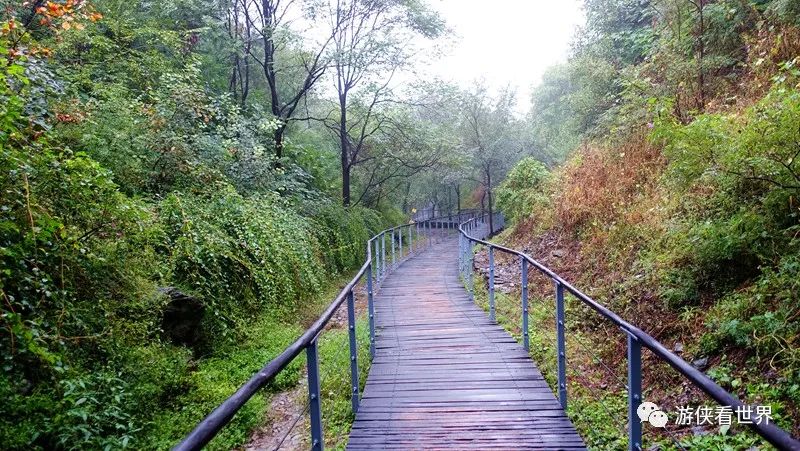 北京距离京城最近的百望山森林公园