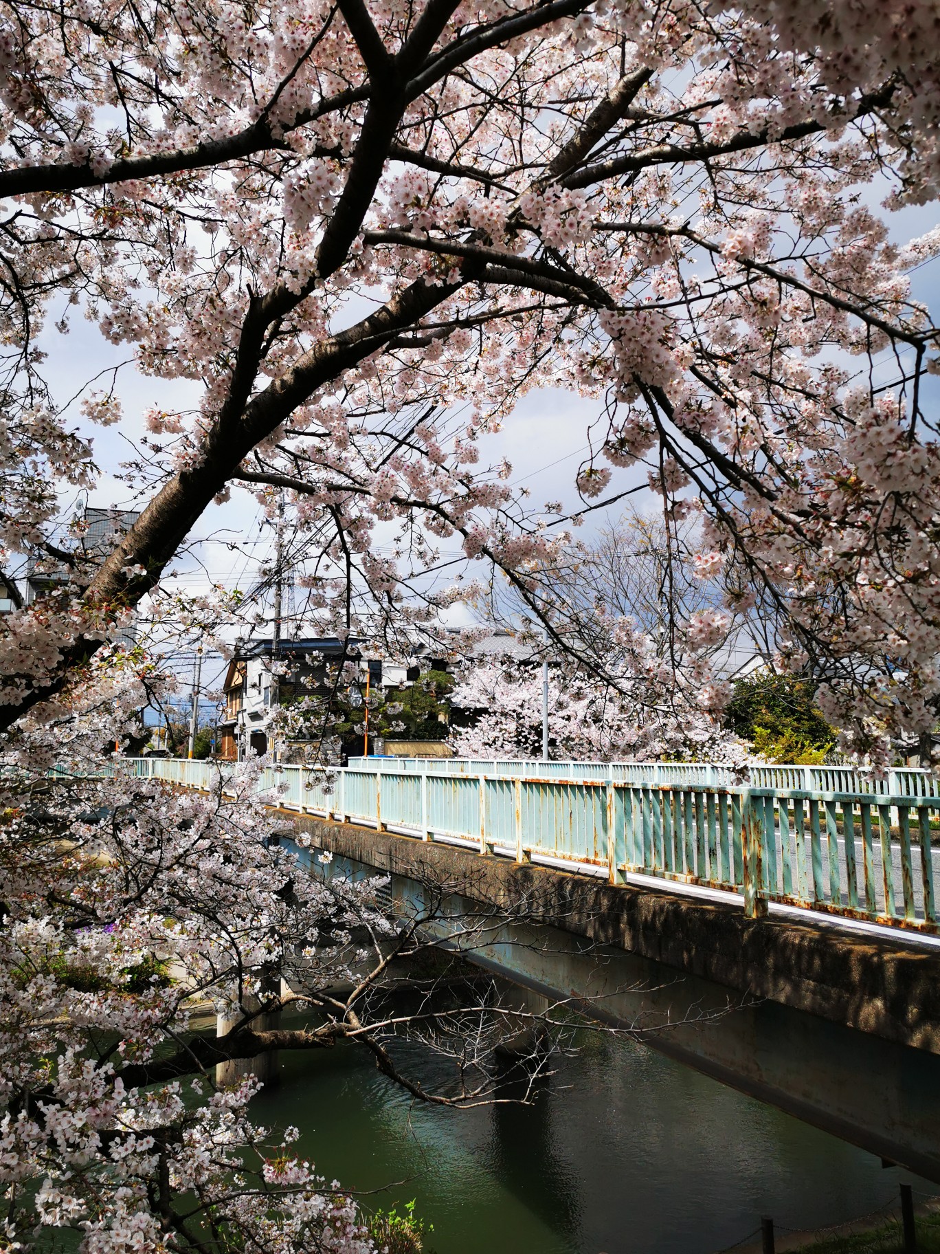 京都自助遊攻略