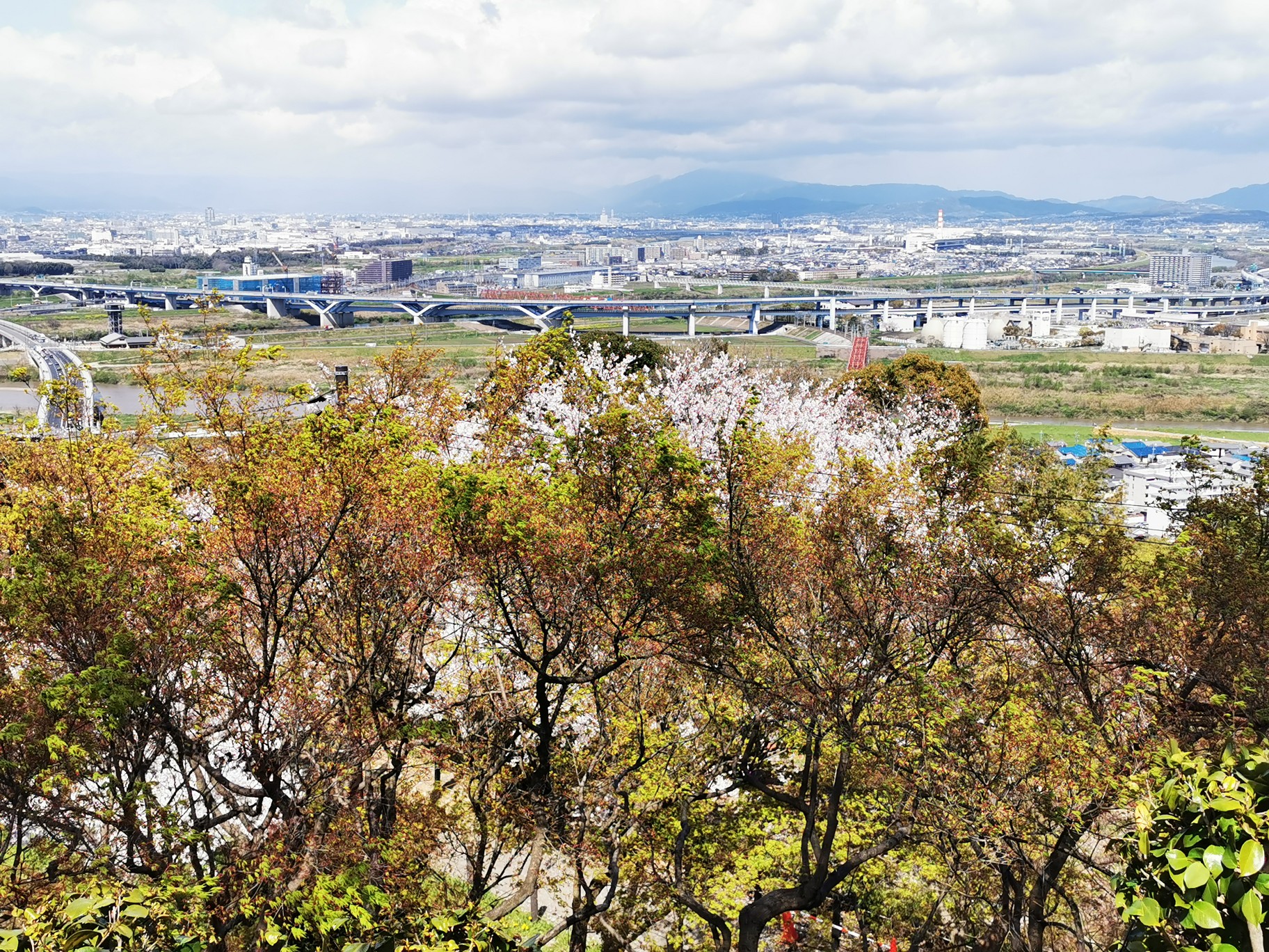 京都自助遊攻略