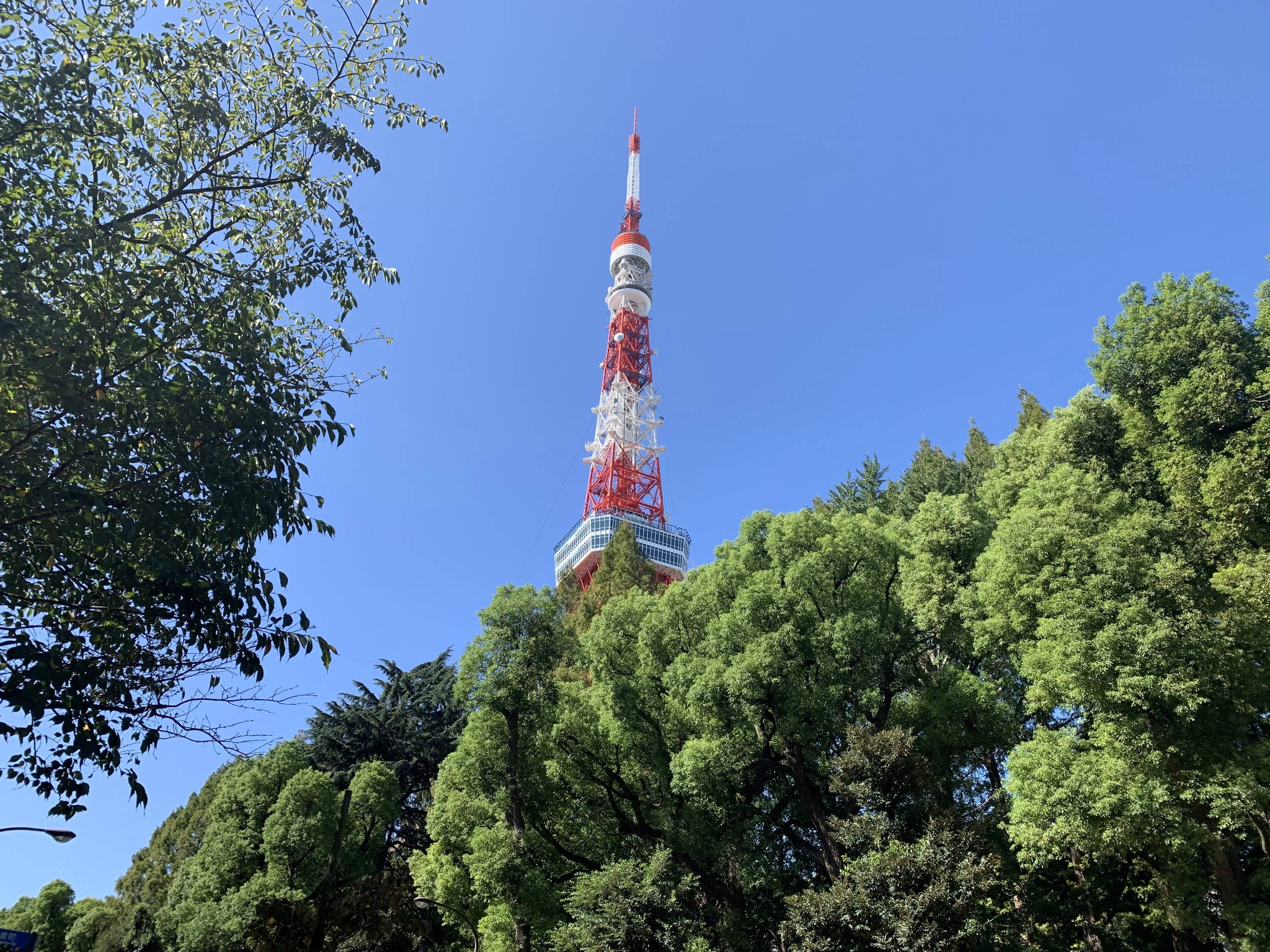 東京自助遊攻略