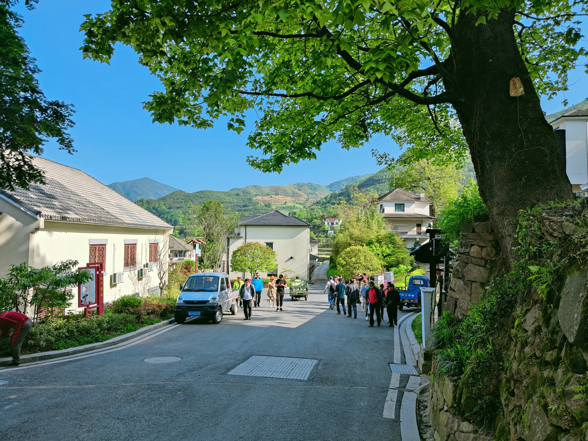 蜘蛛肚村及歙县其他山村美景,歙县自助游攻略 马蜂窝