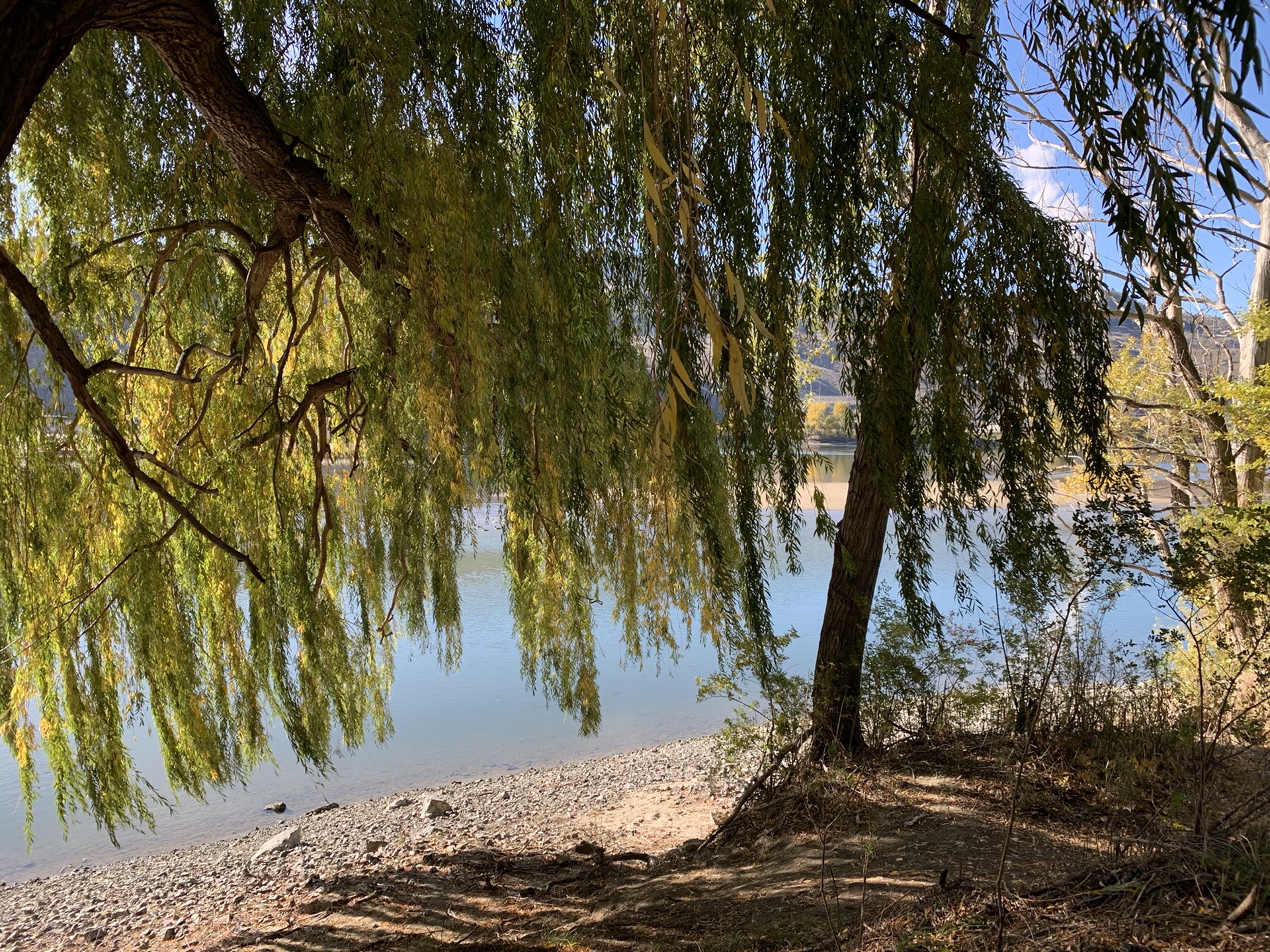 McArthur Island Park