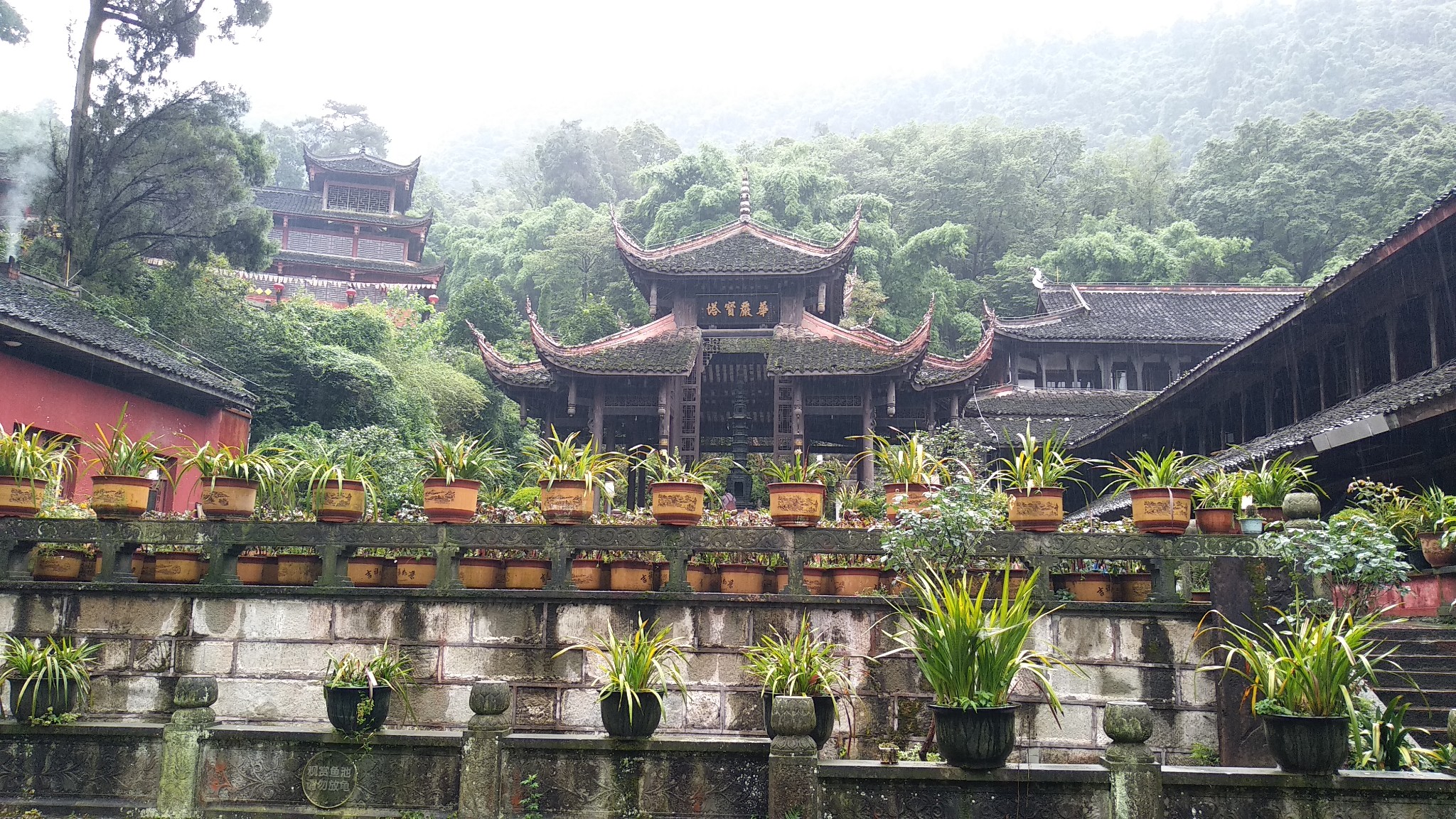 憶峨眉山伏虎寺之行:夏日雨中小記,峨眉山市旅遊攻略 - 馬蜂窩