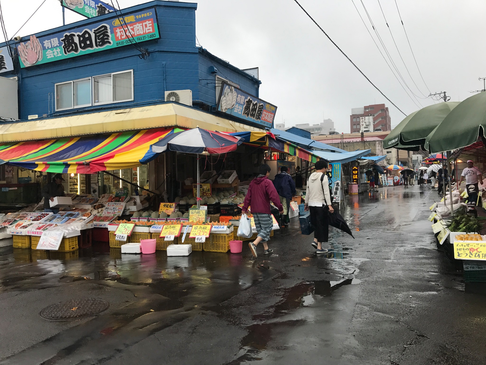 北海道自助遊攻略