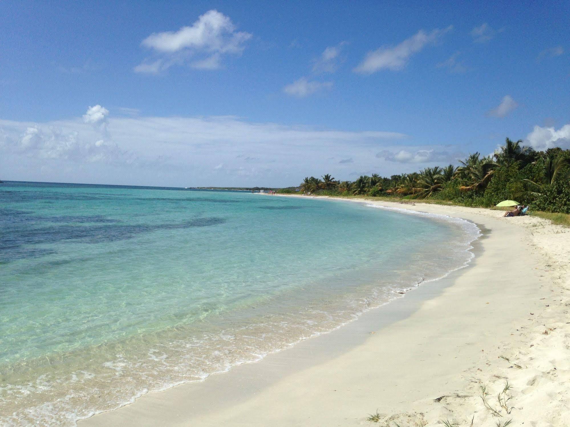 Vieques Good Vibe Guest House