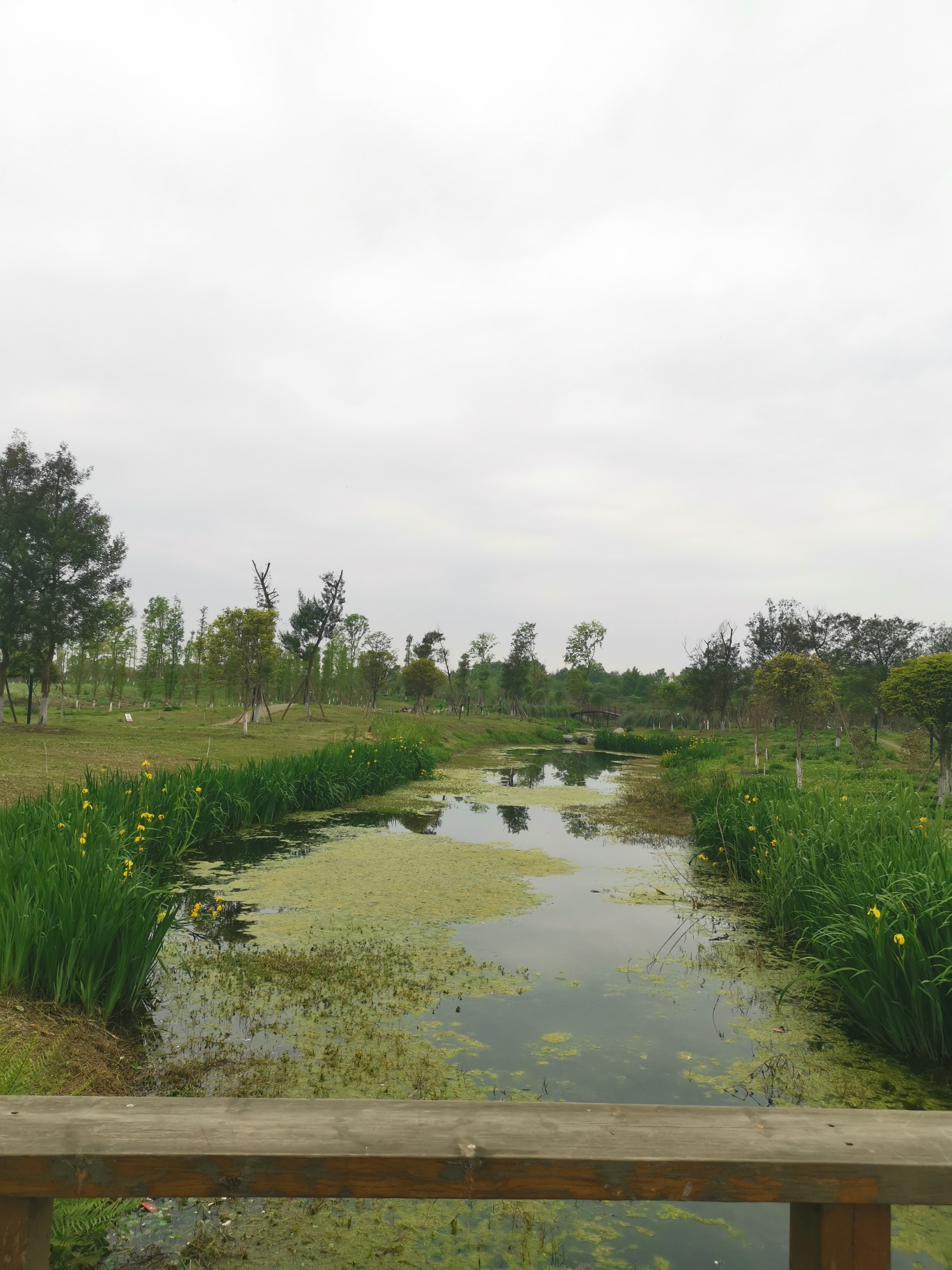 成都青杠树村香草湖
