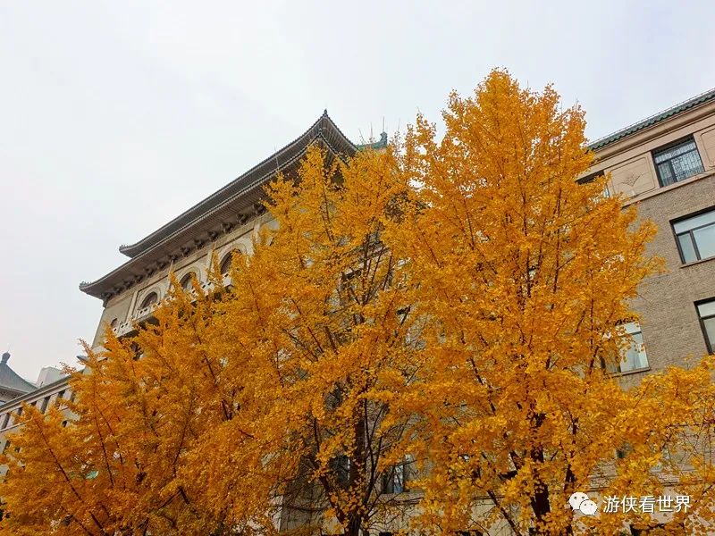 北京賞秋地點概覽和實景拍攝