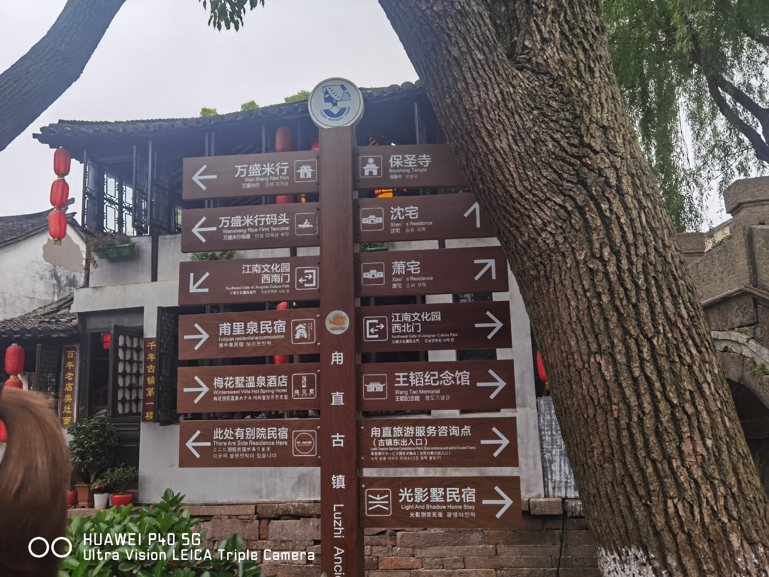 茉沏(平江路店)