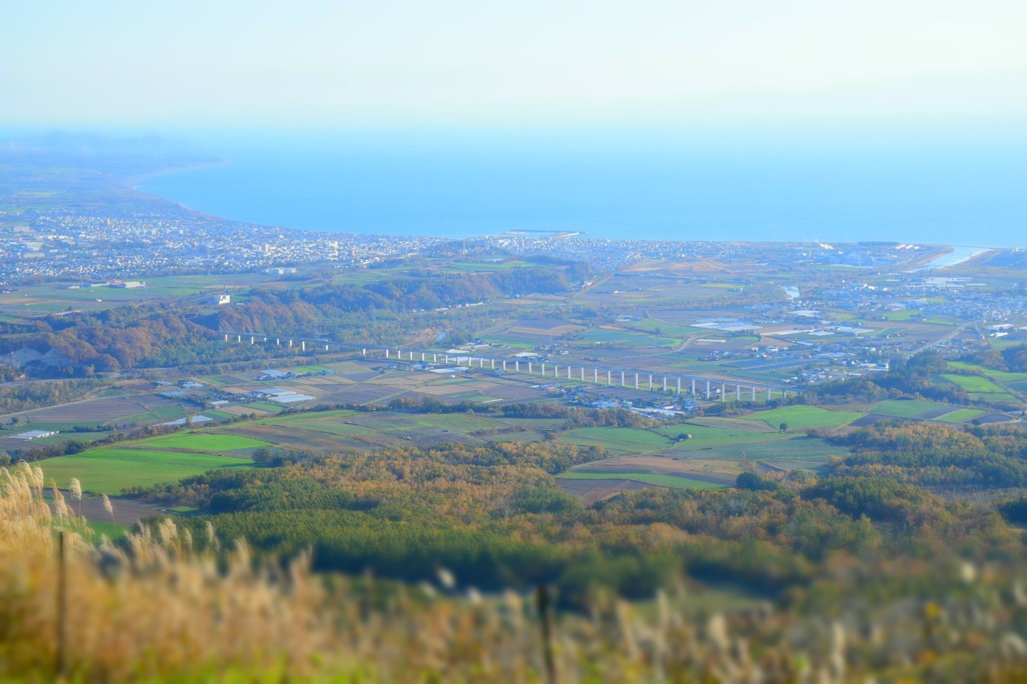 北海道自助遊攻略