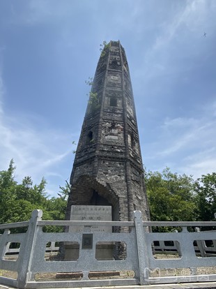 佘山国家森林公园天马山园图片