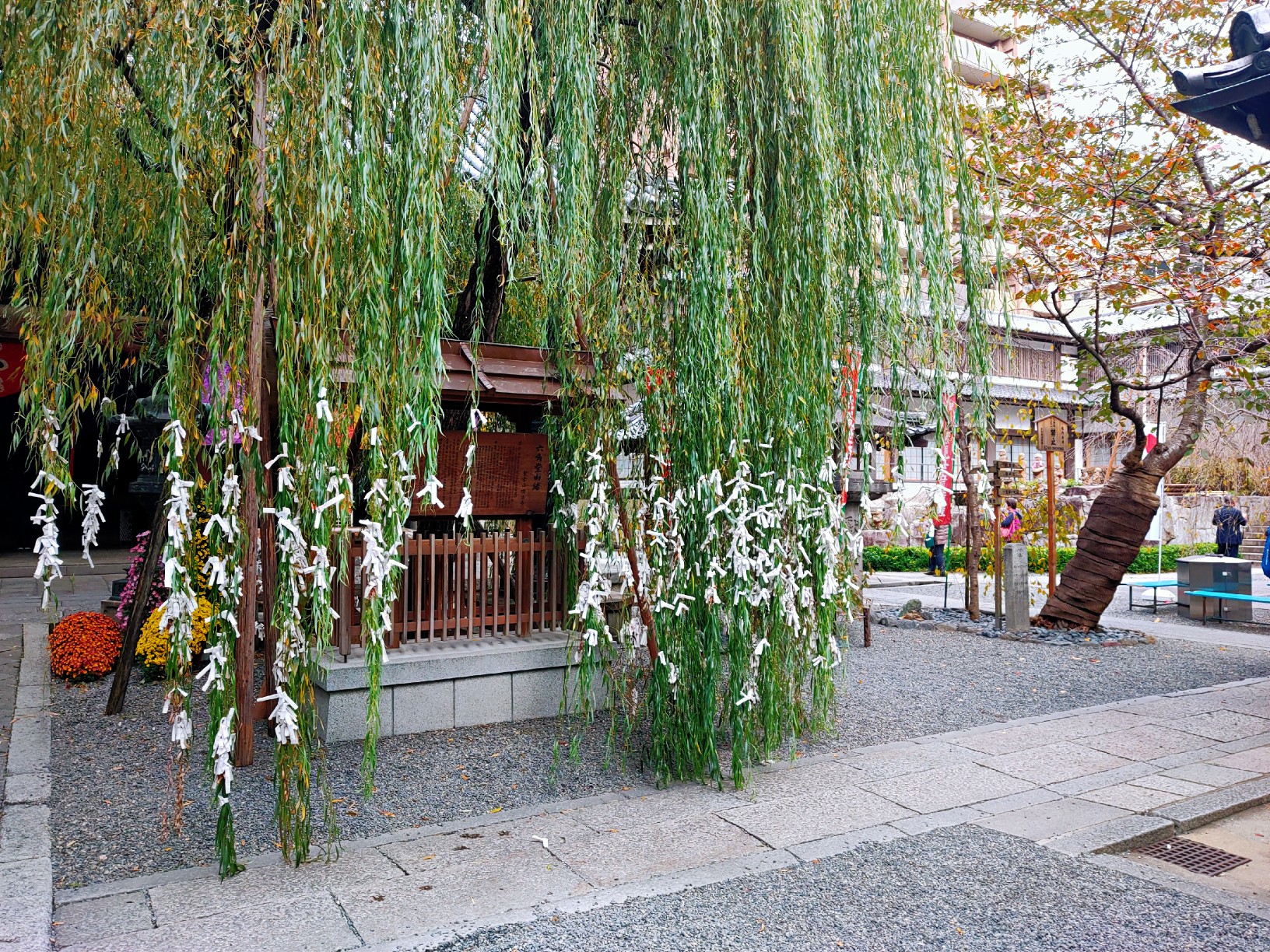 京都自助遊攻略