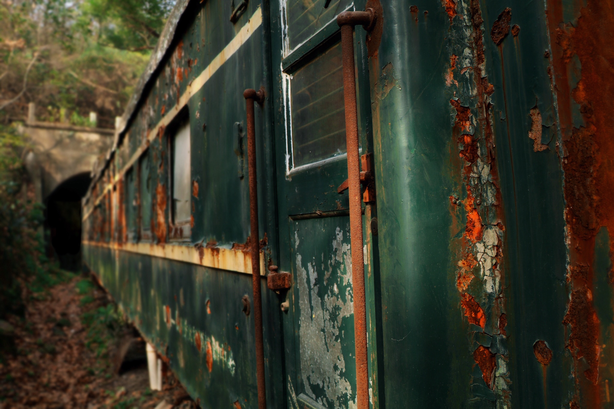 【星级纪念】〔杭州〕19分钟高铁的非日常生活 —不定时更新