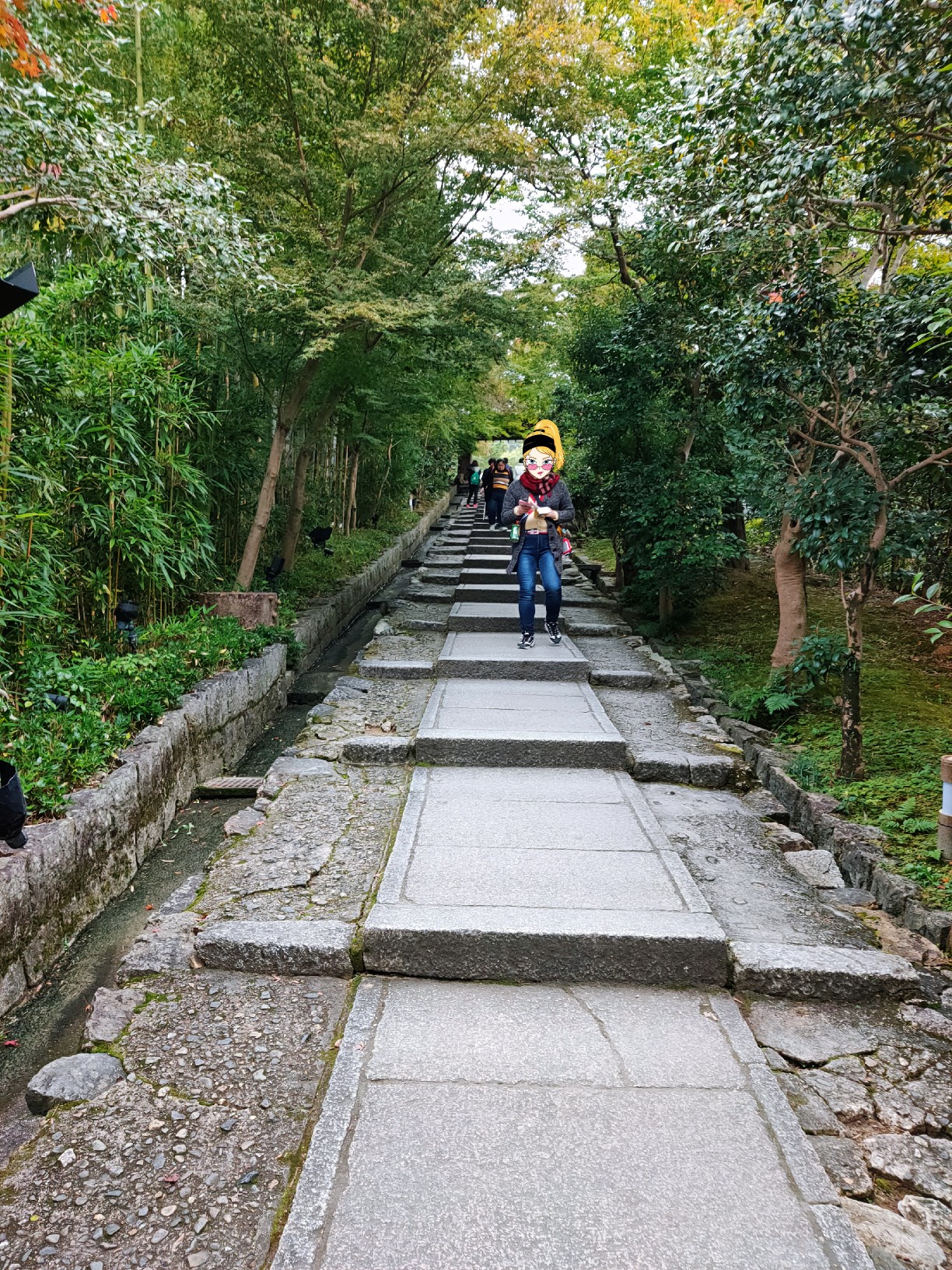 京都自助遊攻略