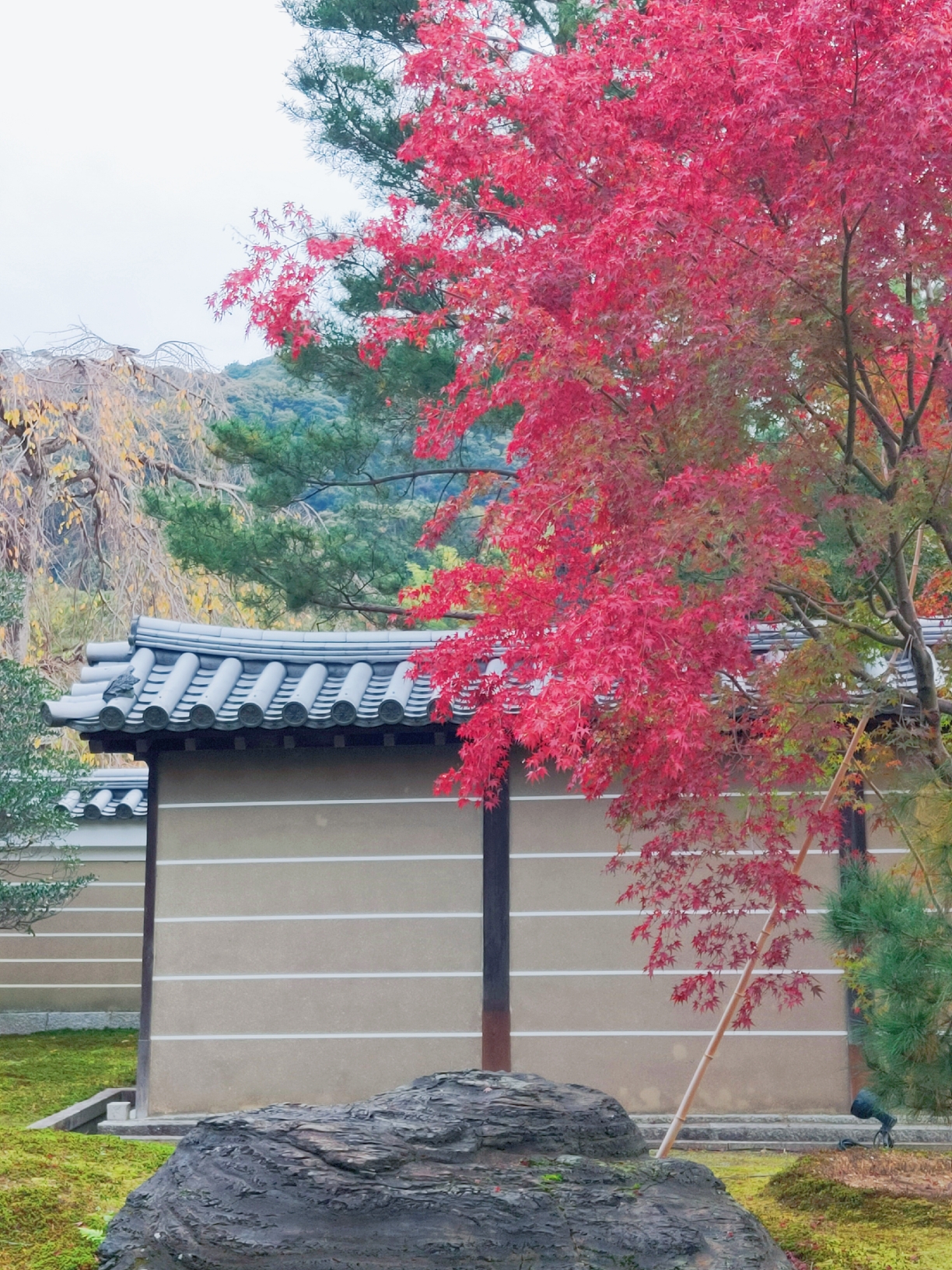 京都自助遊攻略