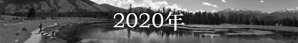 2020年