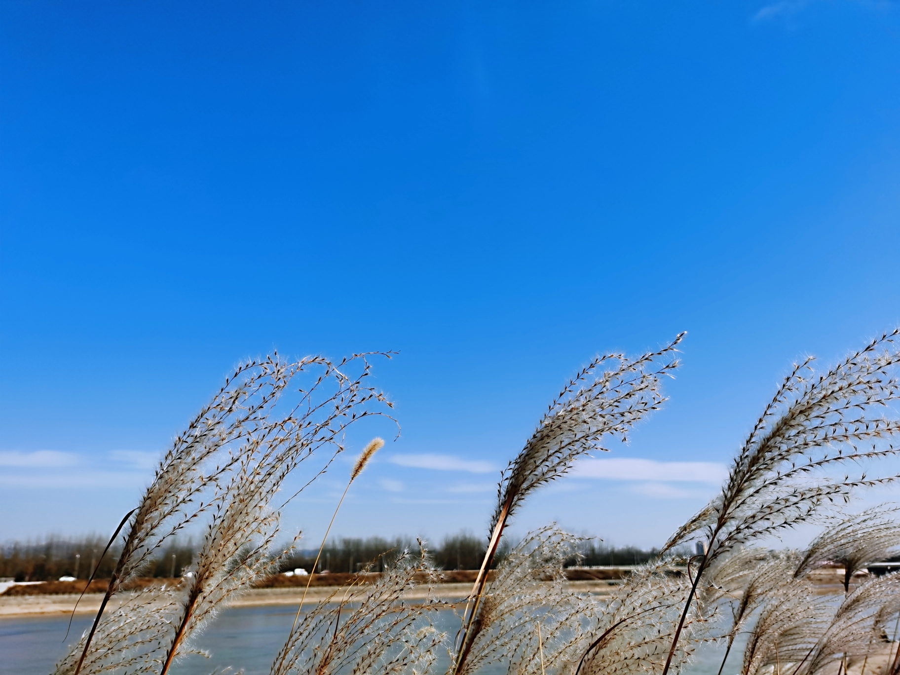 初冬暖阳下闲适快乐的蓝田印象,蓝田自助游攻略 - 马蜂窝