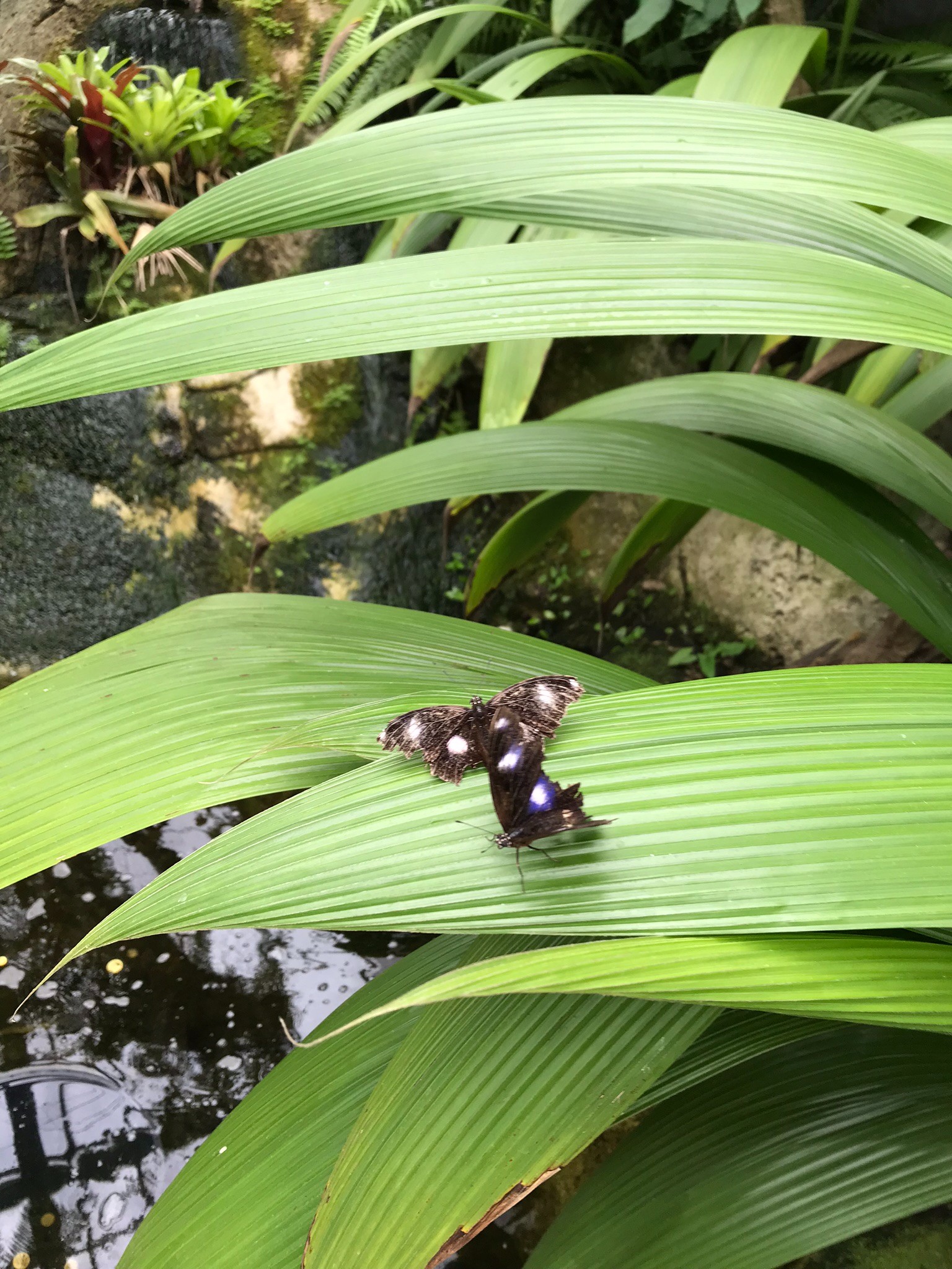 新西蘭自助遊攻略