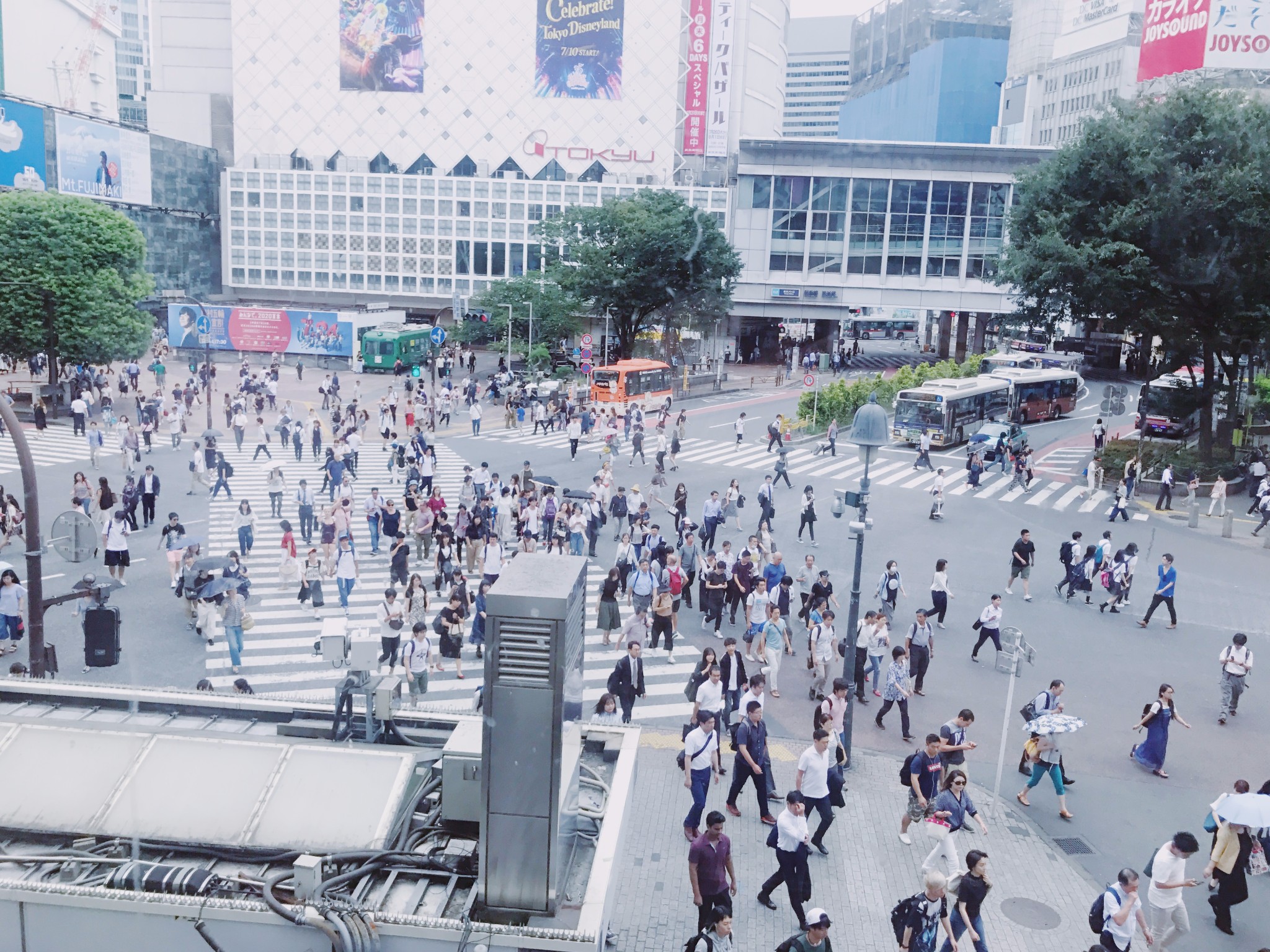 東京自助遊攻略