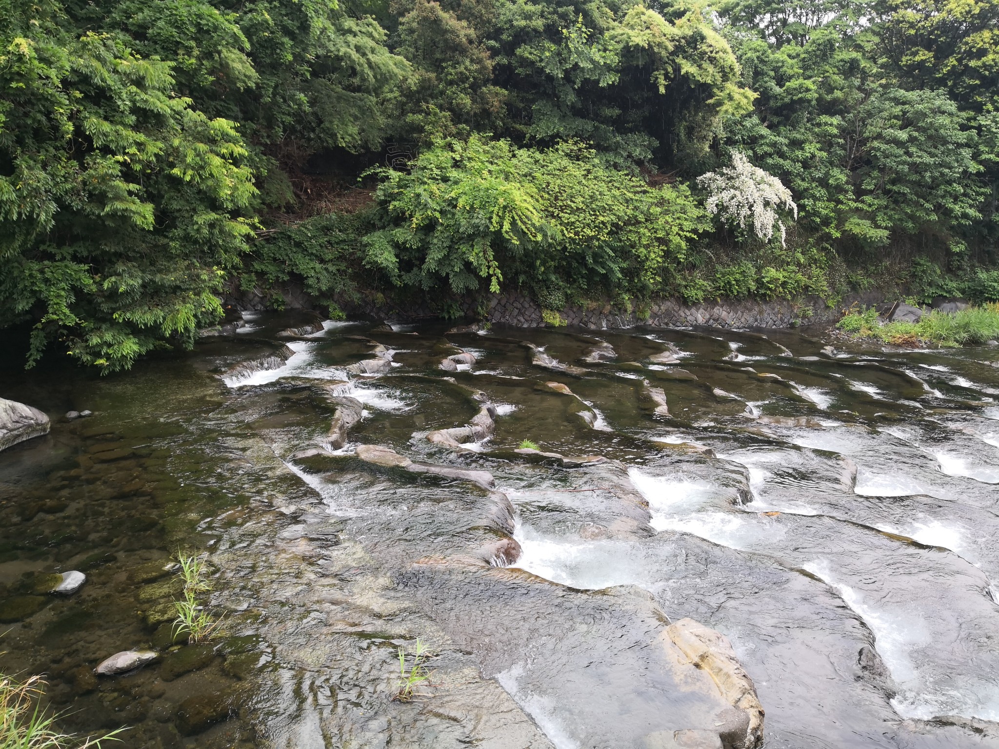 東京自助遊攻略