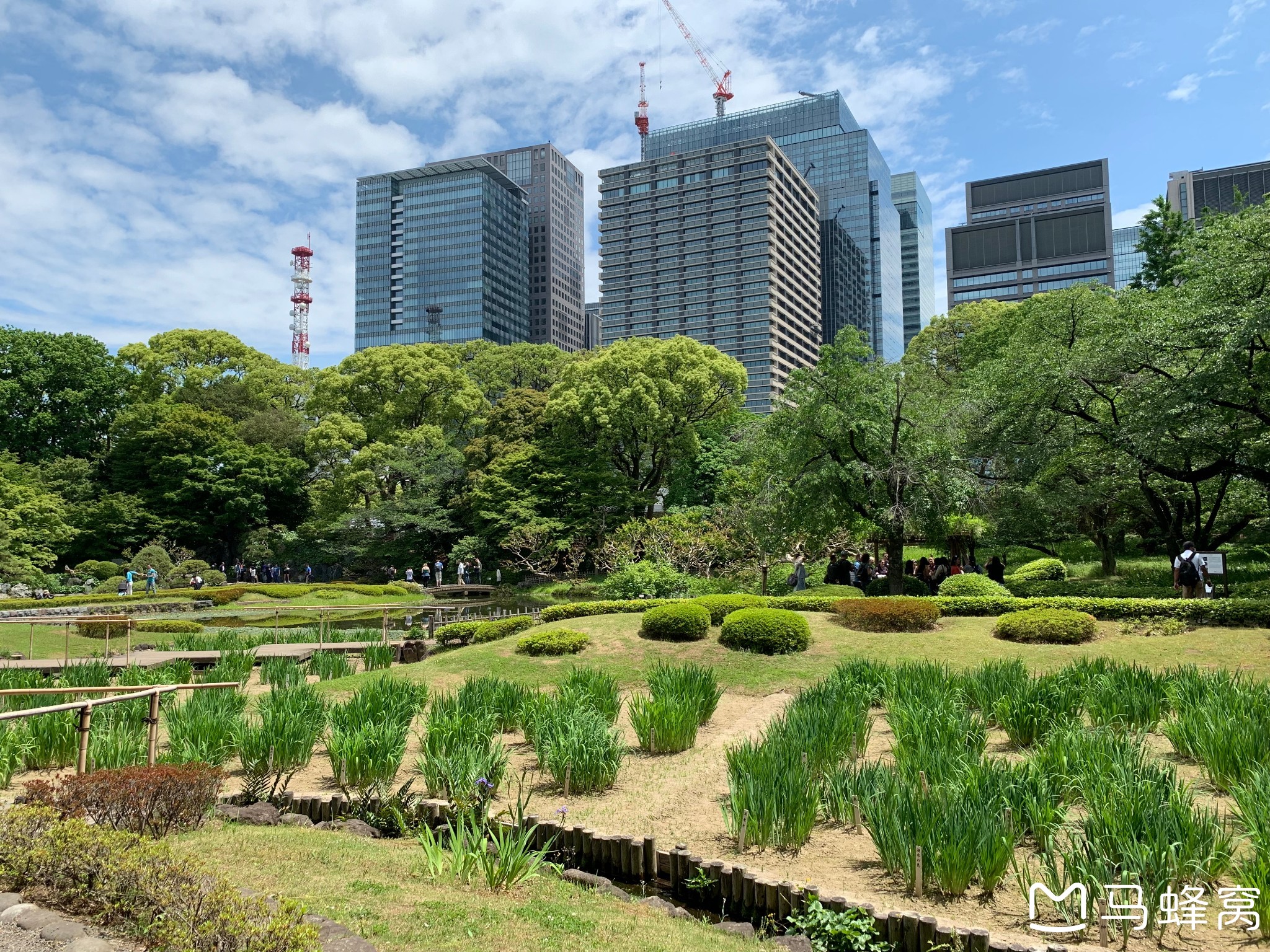 東京自助遊攻略