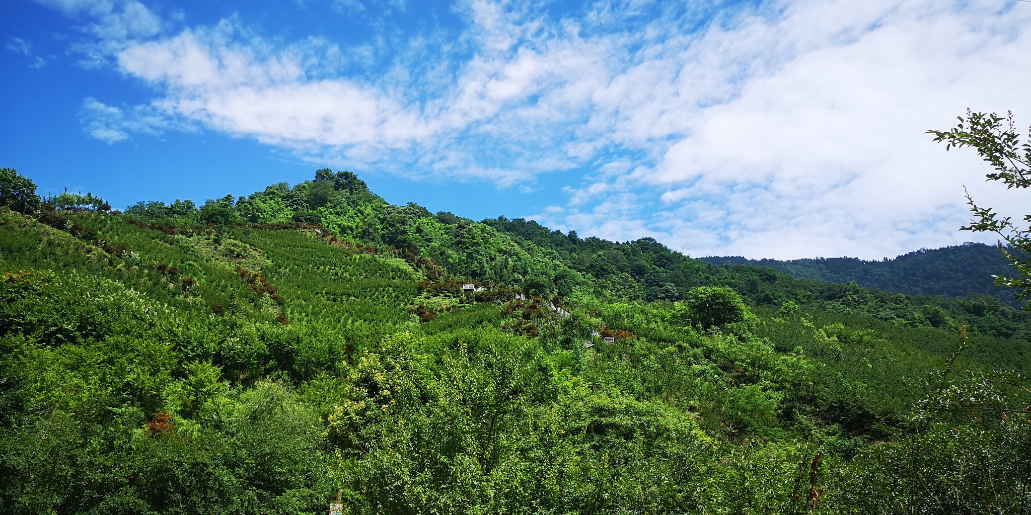 20200627徒步柒月麓山