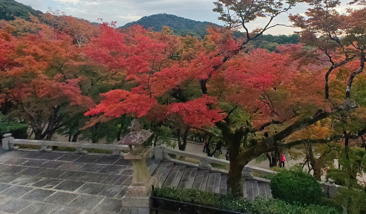 京都自助遊攻略