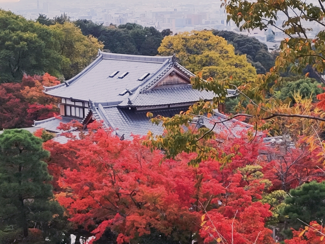 京都自助遊攻略