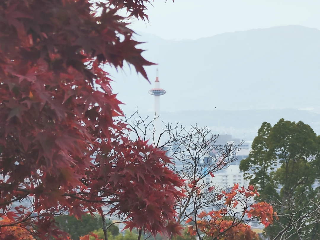 京都自助遊攻略