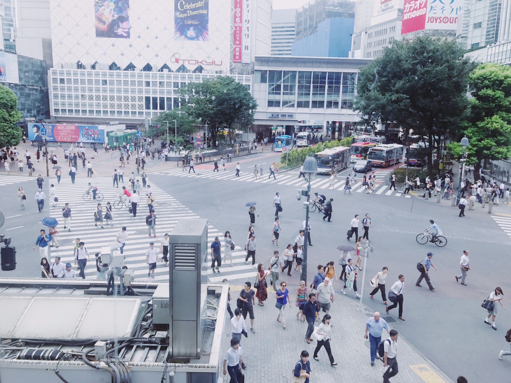 東京自助遊攻略