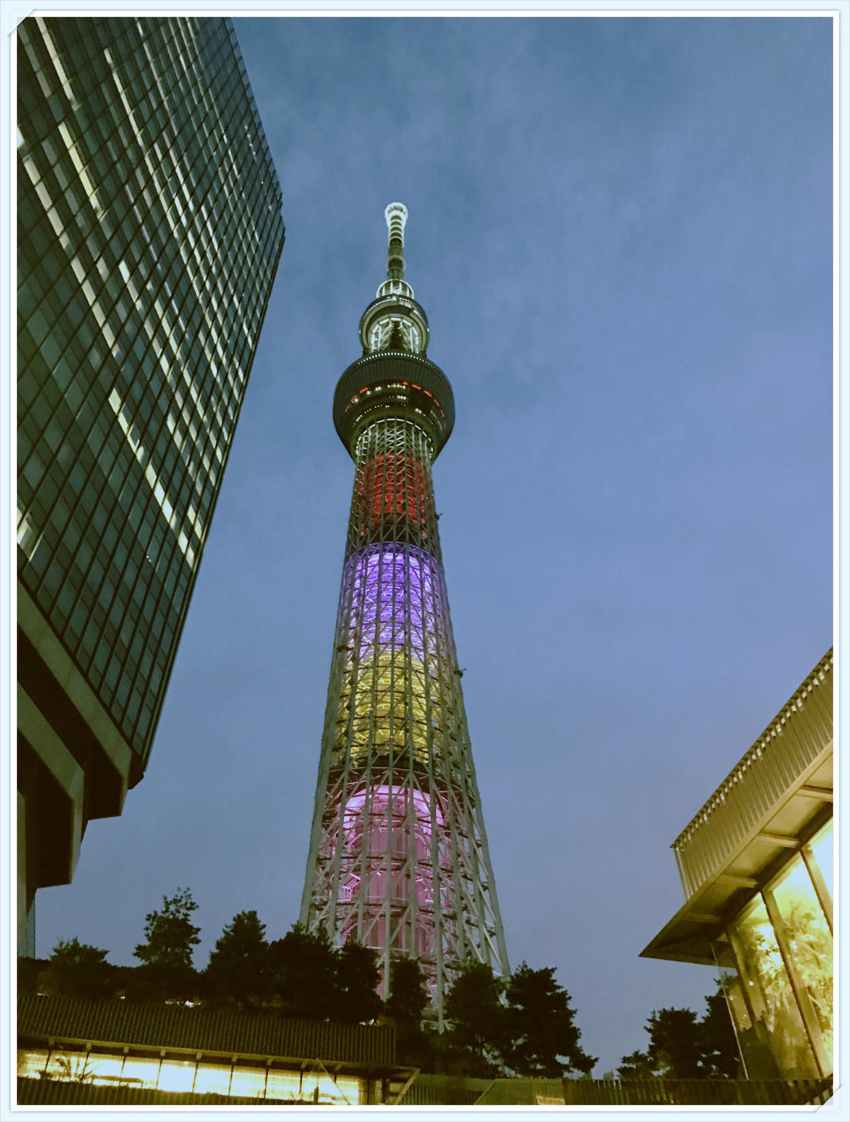 東京自助遊攻略