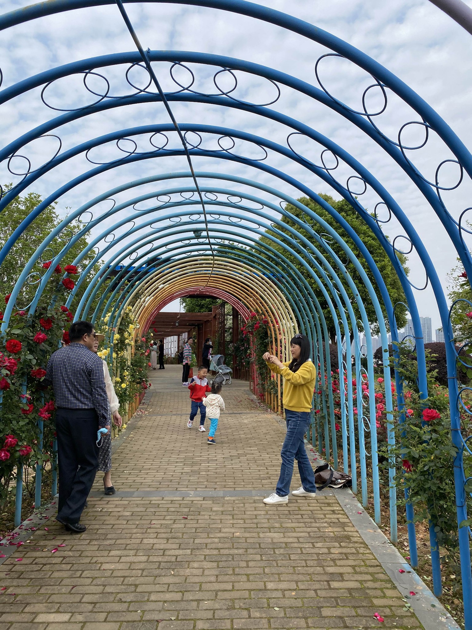 南昌滨江月季园