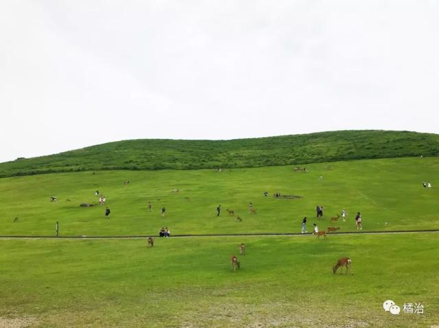 大阪自助遊攻略