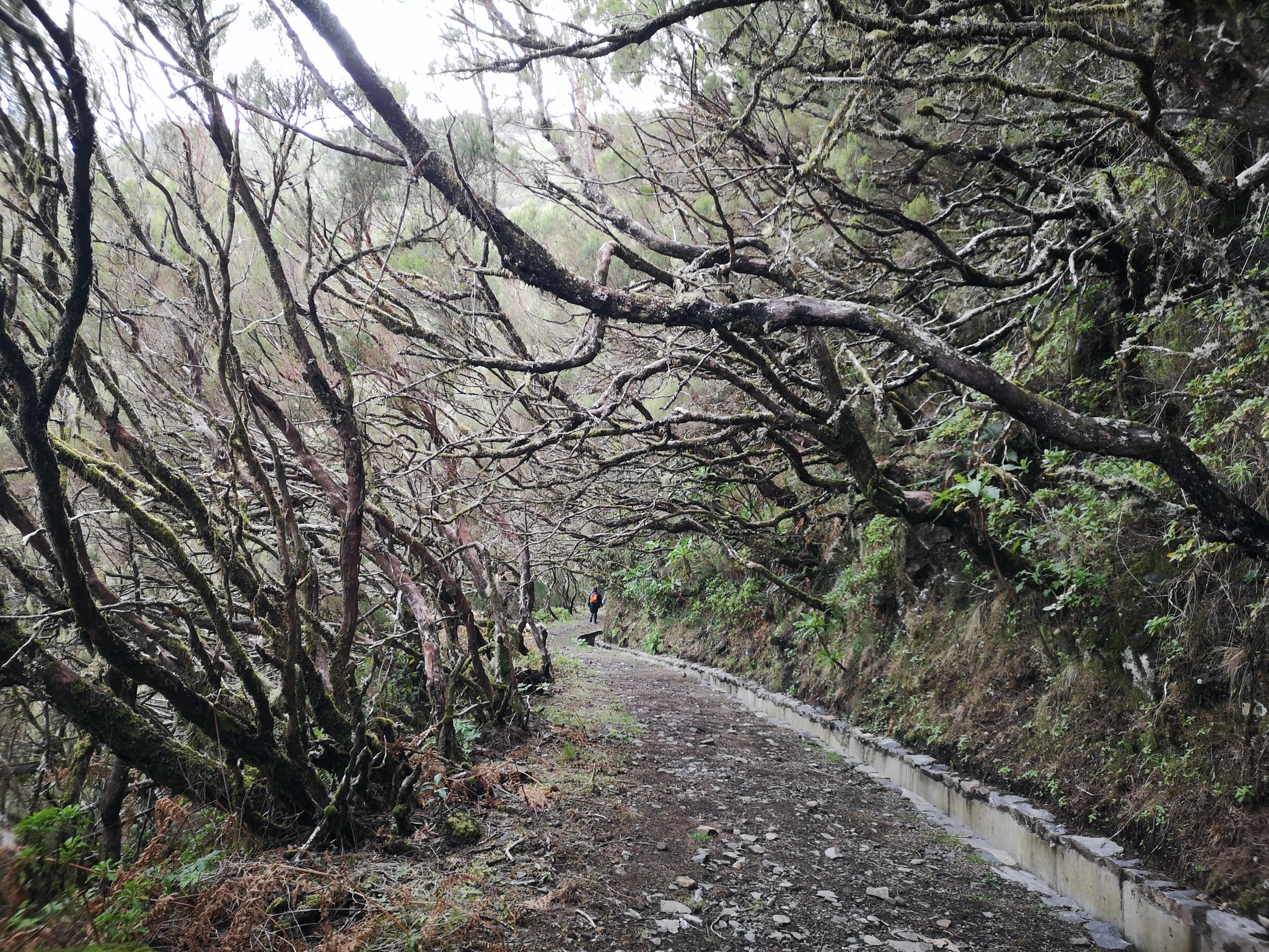 馬德拉群島自助遊攻略