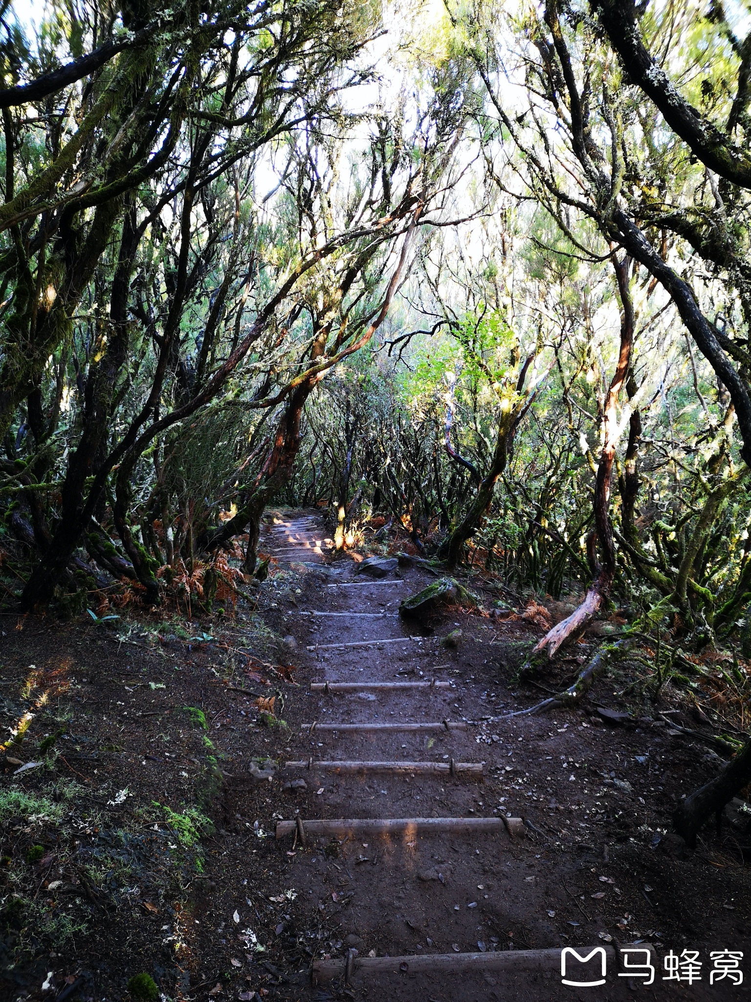 馬德拉群島自助遊攻略