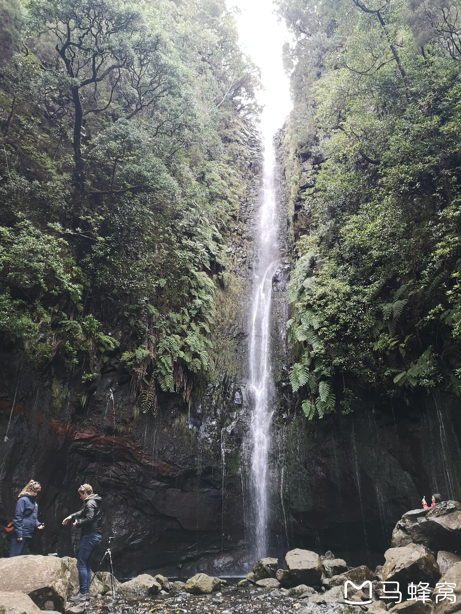 馬德拉群島自助遊攻略