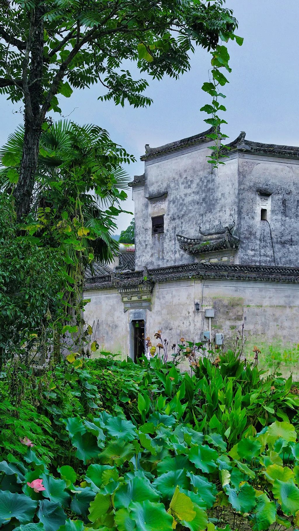 长三角自驾3小时,新晋旅游打卡地,来此归隐田园!