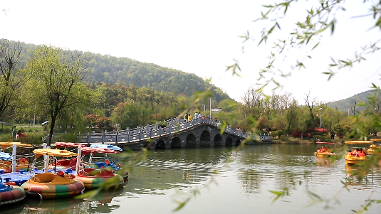 庐江旅游攻略景点必去图片