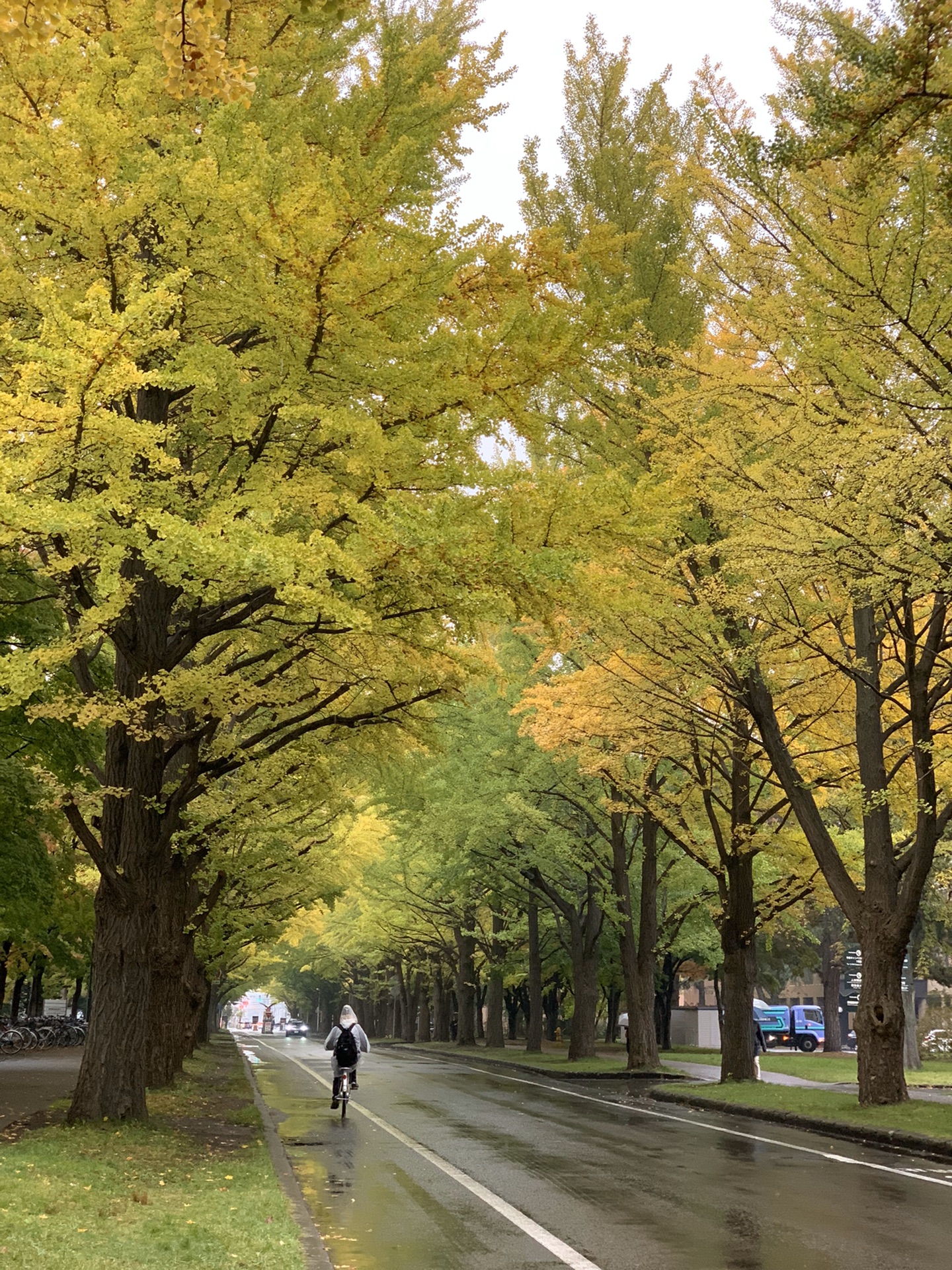 北海道自助遊攻略