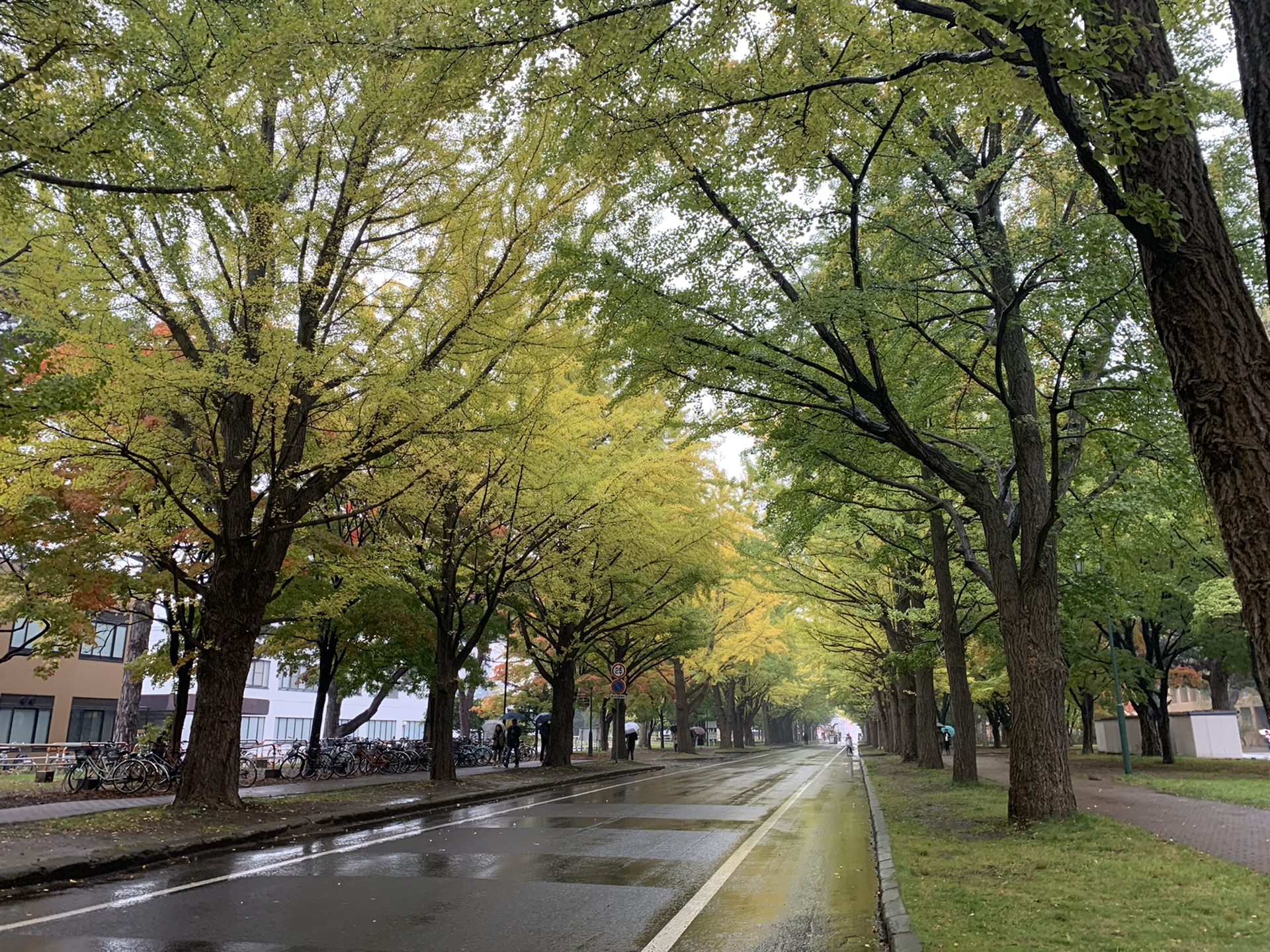 北海道自助遊攻略