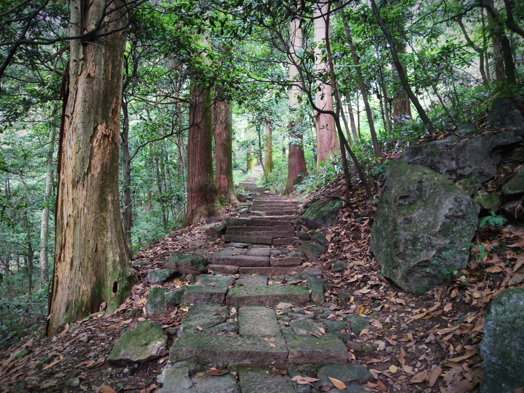 天目山旅游记录(天目山一日游攻略)