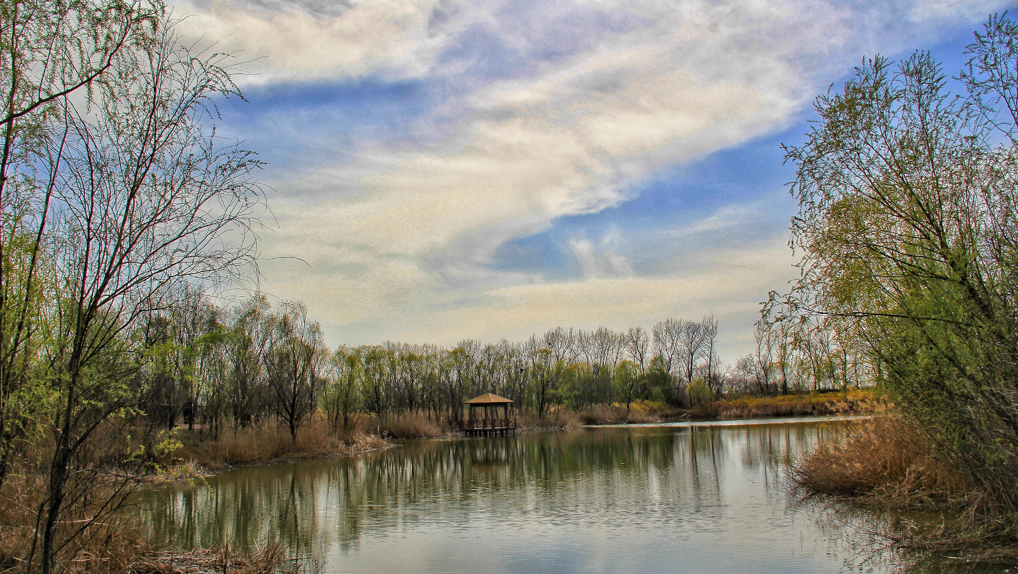 广利河森林湿地公园图片
