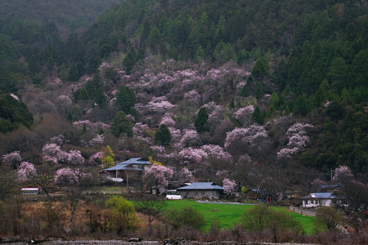 林芝自助遊攻略