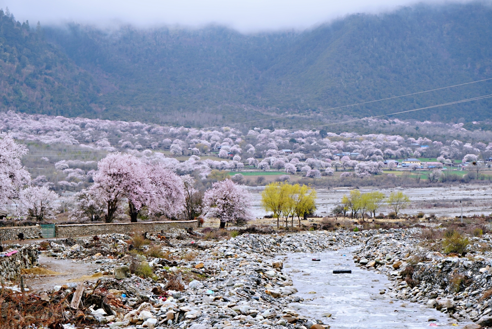 林芝自助遊攻略